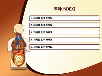 인체해부도 PPT 템플릿 상세페이지 미리보기