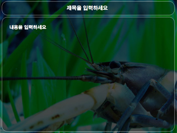 가재 PPT 템플릿 상세페이지 미리보기
