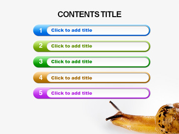 달팽이[land snail] PPT 템플릿 상세페이지 미리보기
