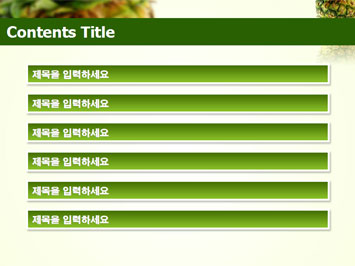 파인애플 A PPT 템플릿 상세페이지 미리보기