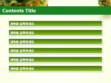 파인애플 B PPT 템플릿 상세페이지 미리보기