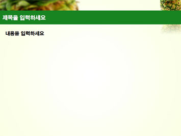 파인애플 B PPT 템플릿 상세페이지 미리보기