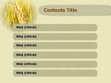 벼 PPT 템플릿 상세페이지 미리보기