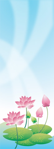 연꽃 이미지 미리보기