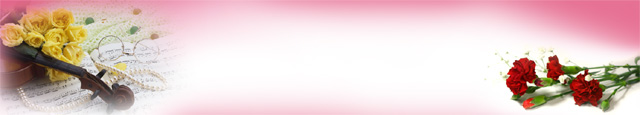 카네이션과 바이올린 이미지 미리보기