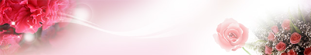 장미꽃다발 이미지 미리보기