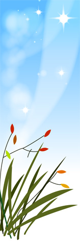 꽃 이미지 미리보기