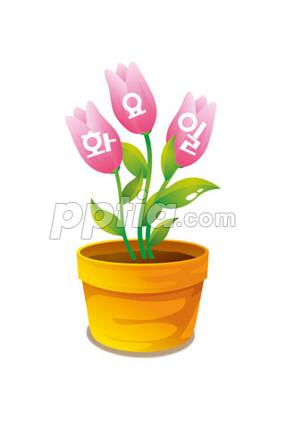 화요일 화분 이미지 미리보기