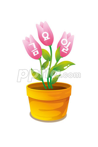 금요일 화분 이미지 미리보기