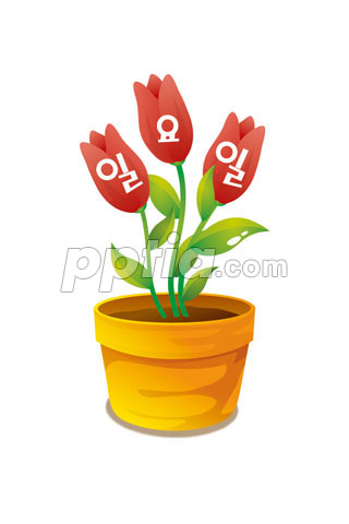 일요일 화분 이미지 미리보기