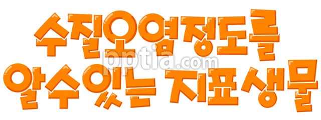 수질오염정도를알수있는지표생물 이미지 미리보기