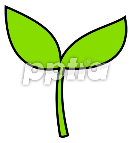 새싹 이미지 미리보기
