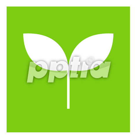 새싹 이미지 미리보기