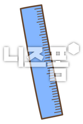 자 이미지 미리보기