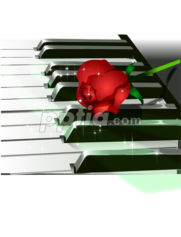피아노 위의 장미 이미지 미리보기