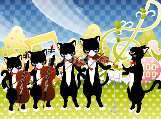 바이올린 연주하는 고양이들 이미지 미리보기