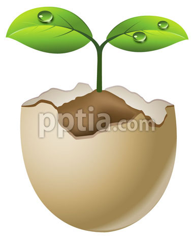 계란껍질 안에 새싹 이미지 미리보기