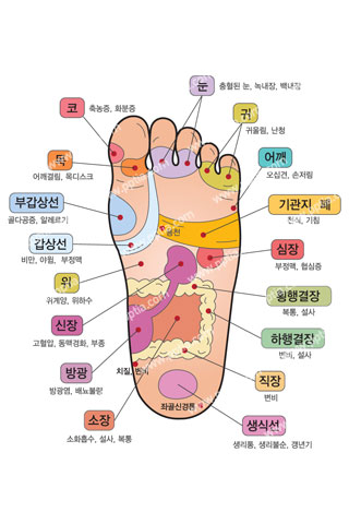 발지압 이미지 미리보기