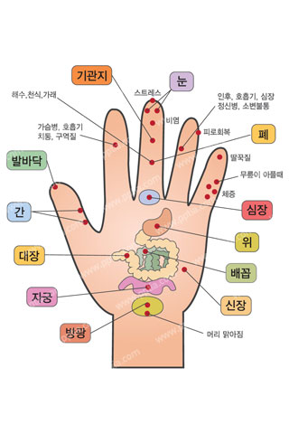 손지압 이미지 미리보기