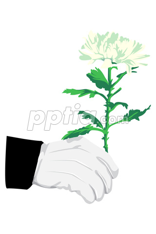 국화 든 손 이미지 미리보기