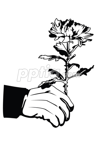 국화 든 손 실루엣 이미지 미리보기