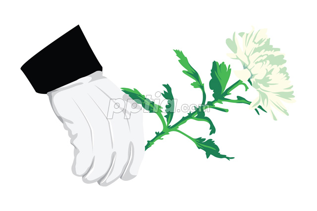 국화 든 손 이미지 미리보기