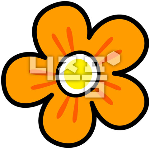 주황색꽃 이미지 미리보기
