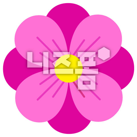 분홍색꽃 이미지 미리보기