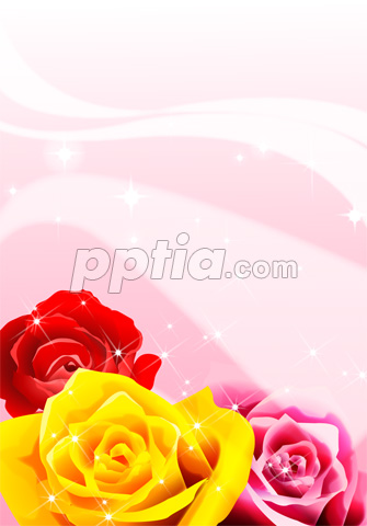 빨강 노랑 분홍 장미 이미지 미리보기