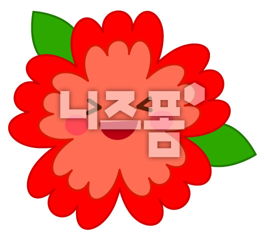 빨간색카네이션 이미지 미리보기