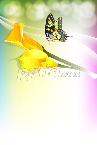 노란색 꽃과 나비 이미지 미리보기