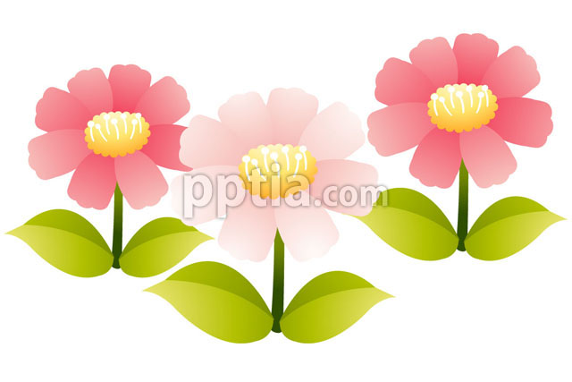 핑크색 꽃 이미지 미리보기