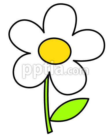 꽃 이미지 미리보기