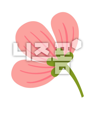 분홍색꽃 이미지 미리보기
