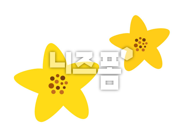 노란색꽃 이미지 미리보기