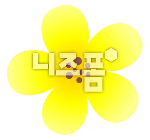 노란색꽃 이미지 미리보기