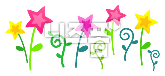 별모양꽃 이미지 미리보기