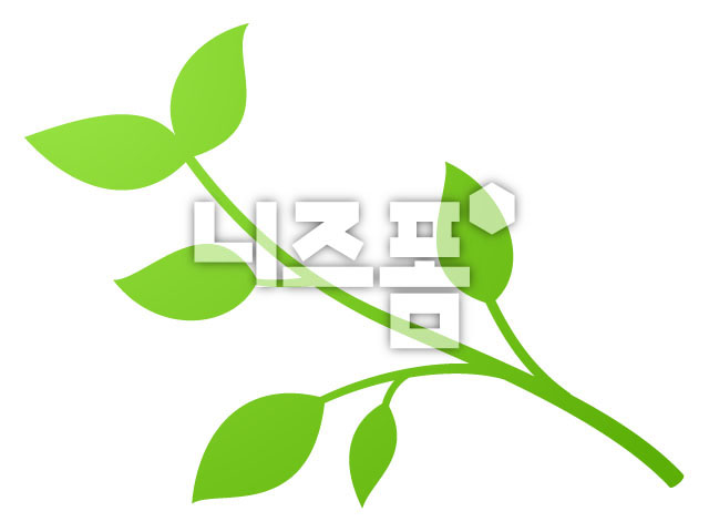 긴연두색풀잎 이미지 미리보기