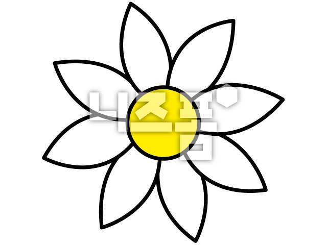 흰색꽃 이미지 미리보기