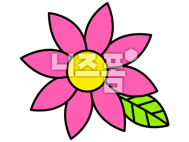 분홍색꽃 이미지 미리보기