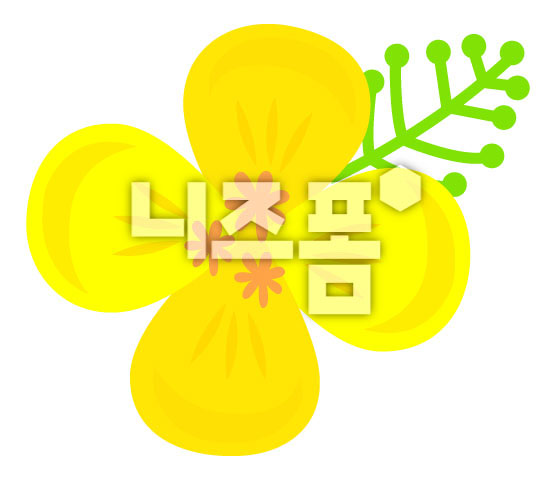 유채꽃 이미지 미리보기