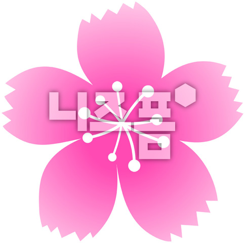 벚꽃잎 이미지 미리보기