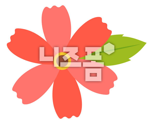 주홍색코스모스 이미지 미리보기