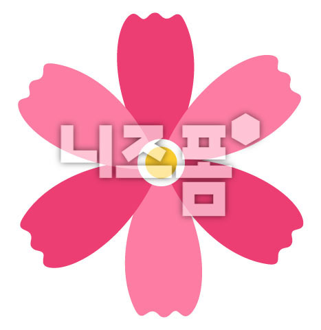 분홍색코스모스 이미지 미리보기
