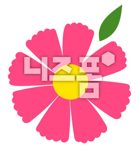 분홍색코스모스 이미지 미리보기