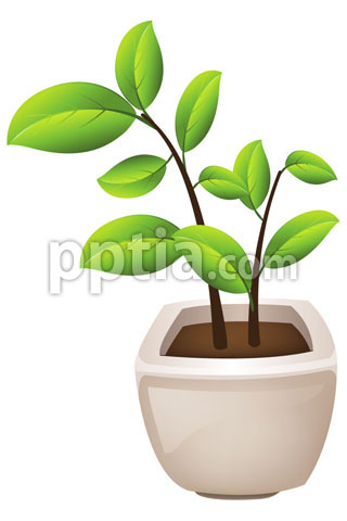 화분 이미지 미리보기