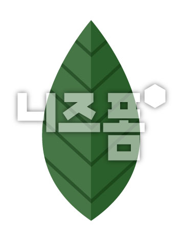 나뭇잎 이미지 미리보기
