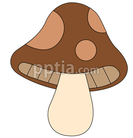 버섯 이미지 미리보기