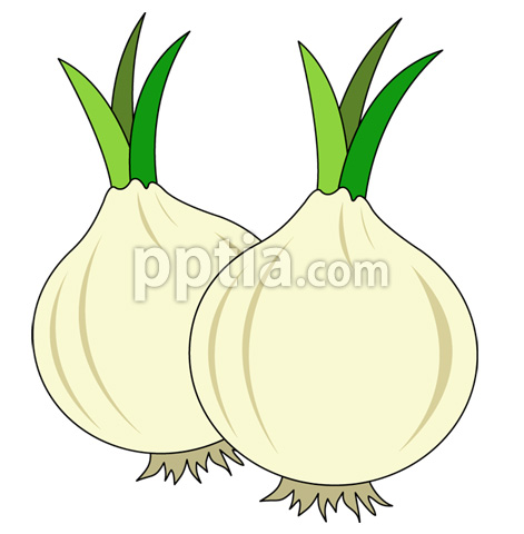 양파 이미지 미리보기