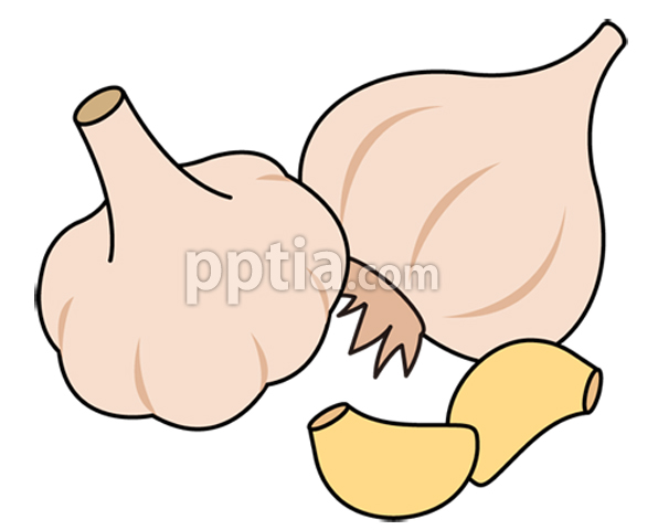 마늘 이미지 미리보기
